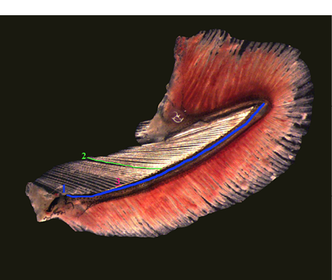 sm3898fig2.jpg