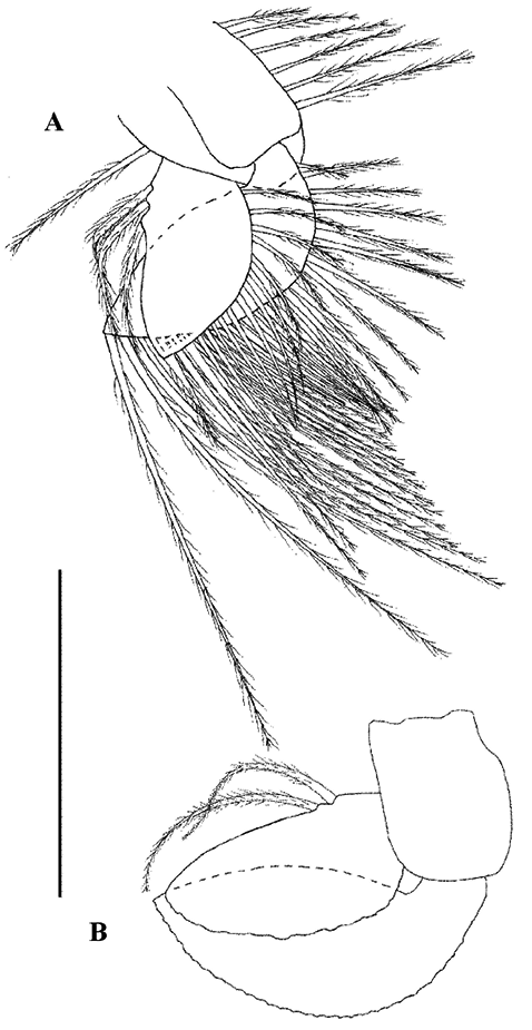 sm3878fig3.jpg