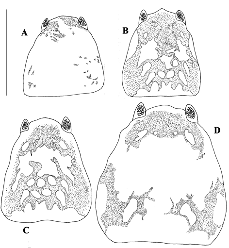 sm3878fig5.jpg