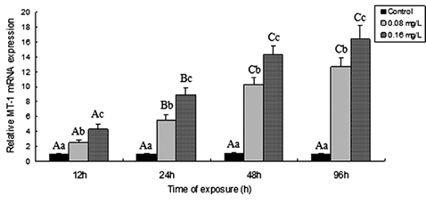 sm3929fig3.jpg