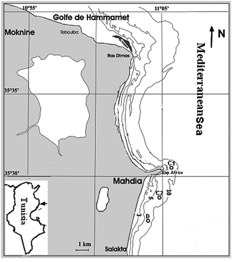 sm3939fig1.jpg