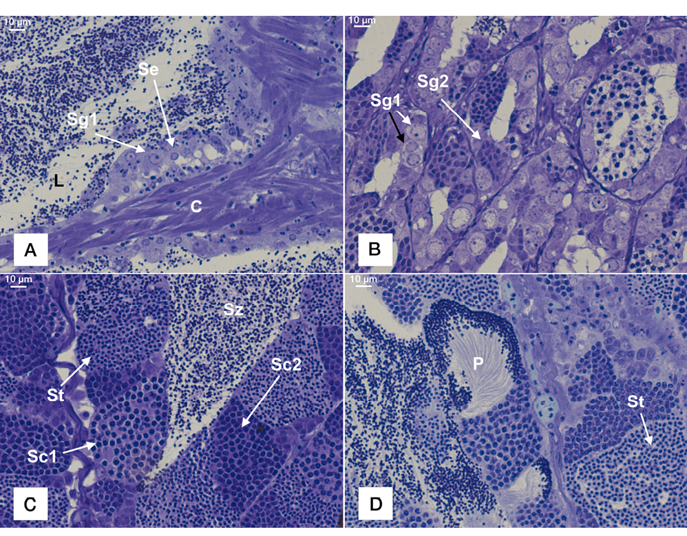 sm3837fig4.jpg