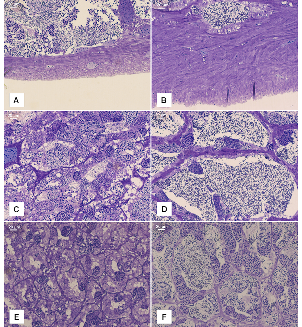 sm3837fig6.jpg