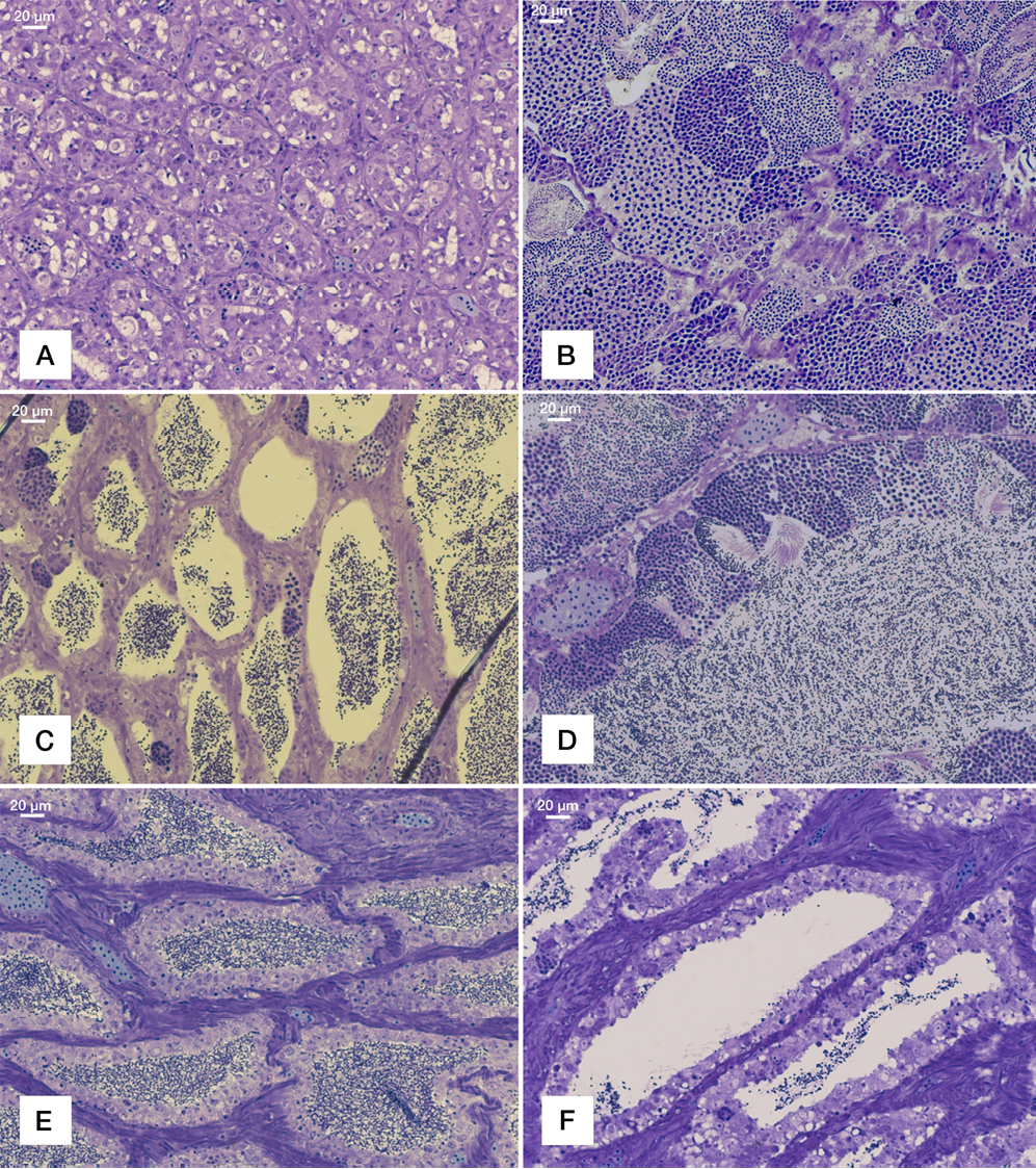 sm3837fig8.jpg