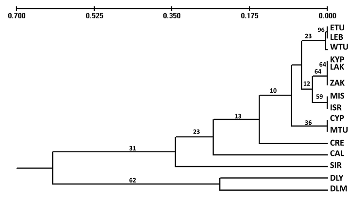 sm3865fig2.jpg