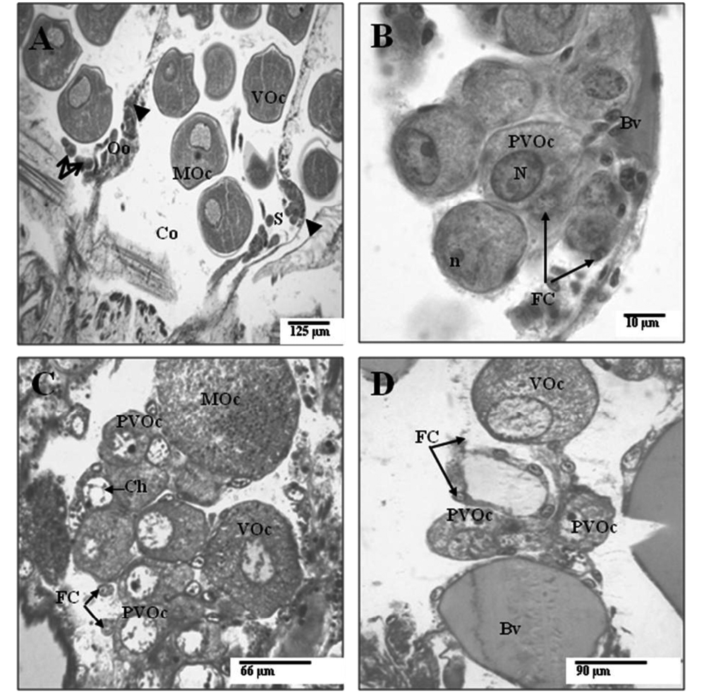 sm3863Fig2.jpg
