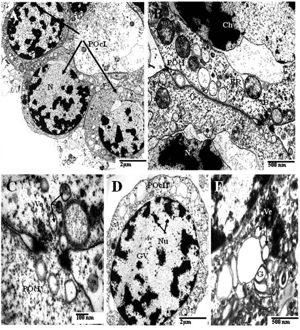 sm3863Fig3.jpg