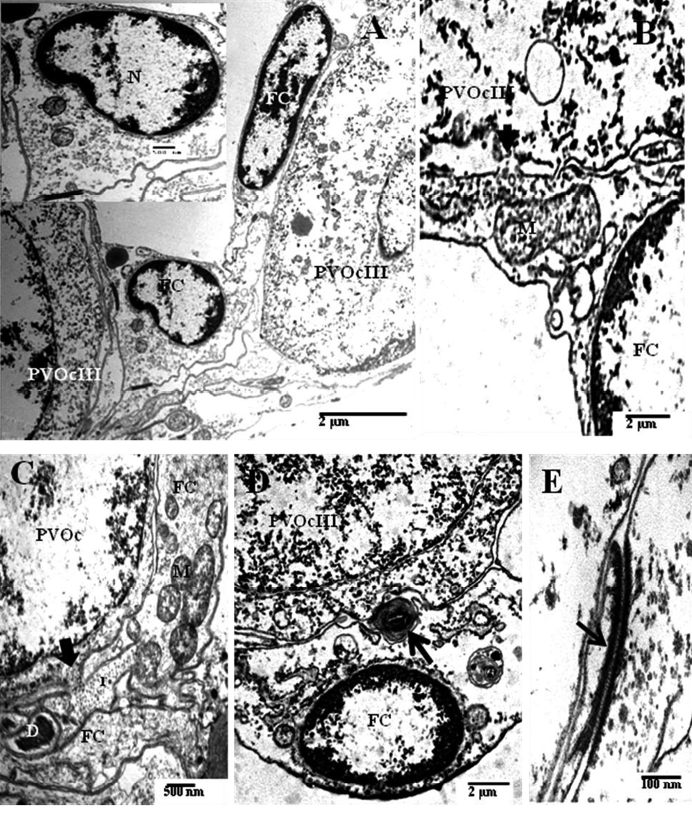 sm3863Fig7.jpg