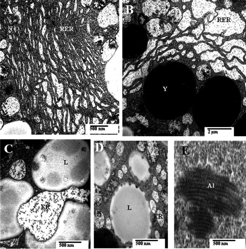 sm3863Fig9.jpg