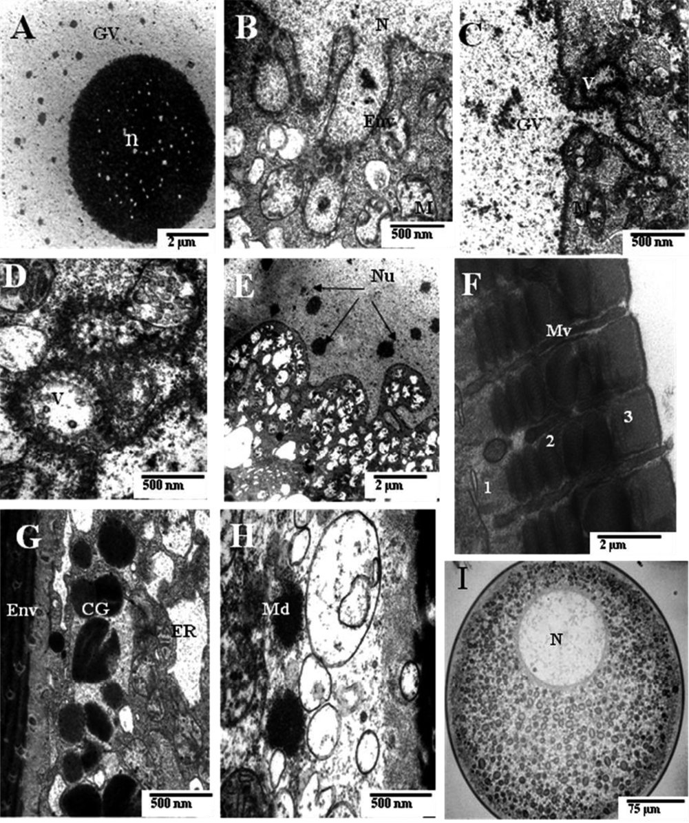 sm3863Fig10.jpg