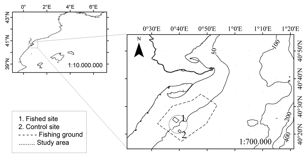 sm4024fig2.jpg