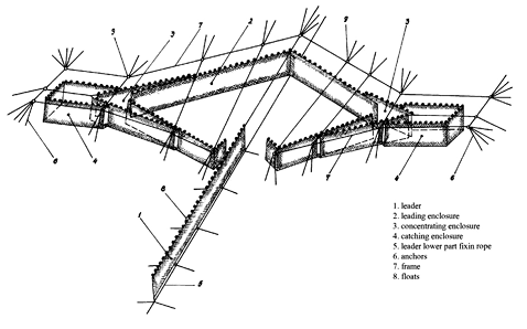 sm4029fig2.jpg