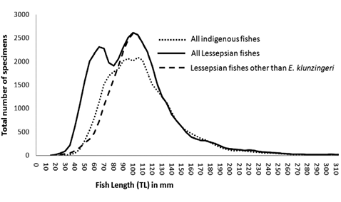 sm3936fig5.jpg