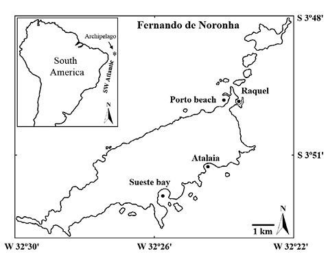 sm3979fig1.jpg