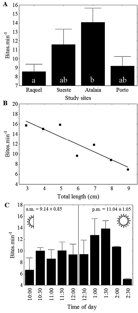 sm3979fig4.jpg