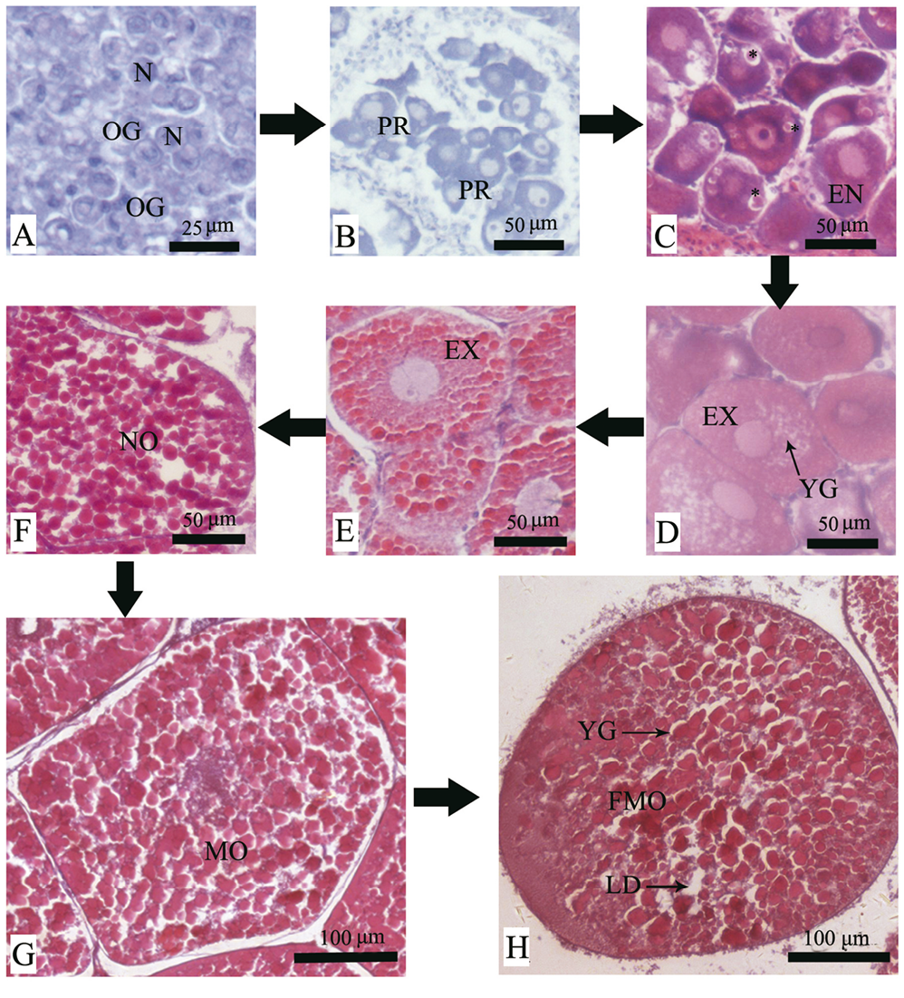 sm3919fig2.jpg