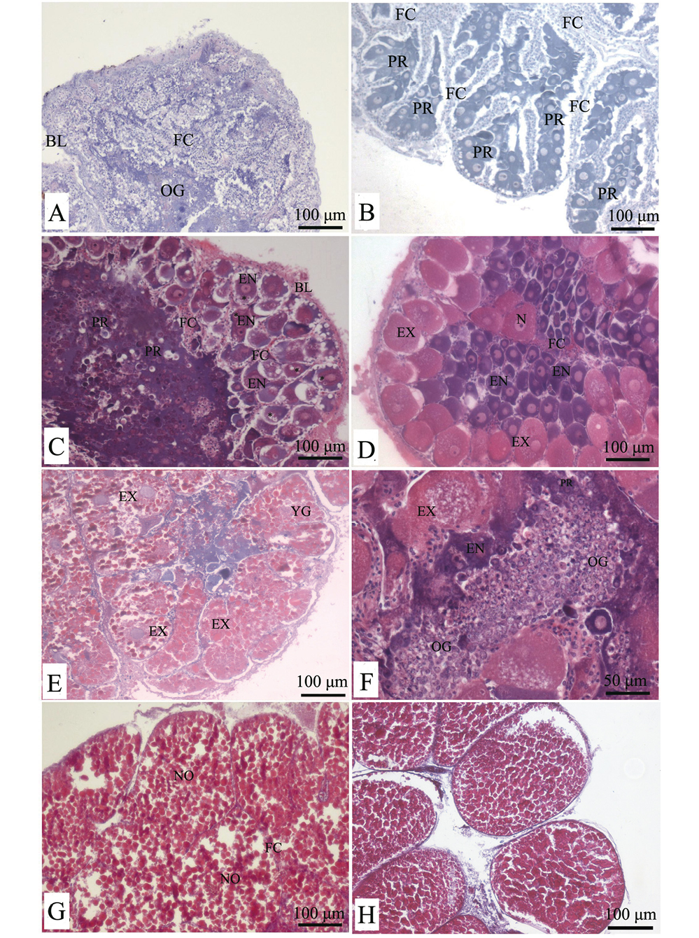 sm3919fig4.jpg
