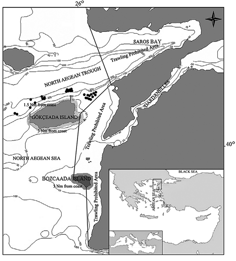 sm3942fig1.jpg