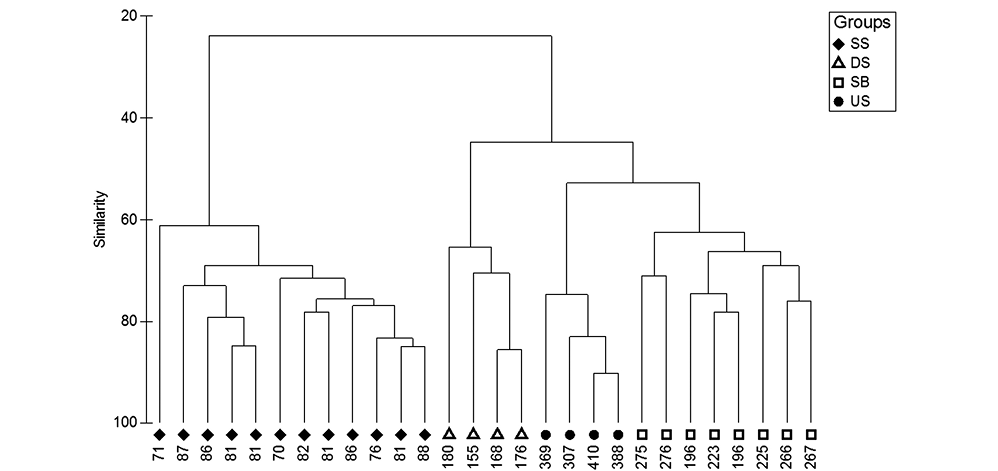 sm3942fig2.jpg