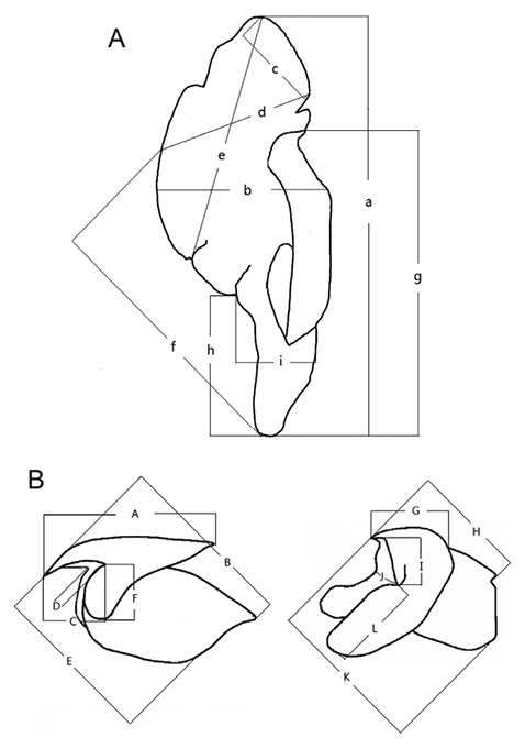 sm3991fig2.jpg