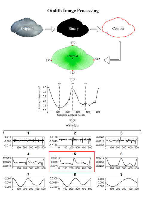 sm3982fig3.jpg