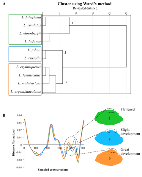 sm3982fig8.jpg