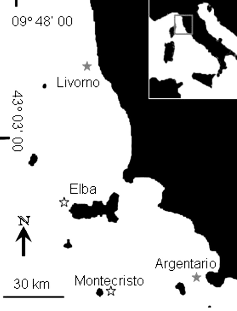 sm3989fig1.jpg