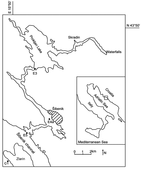 sm3998fig1.jpg
