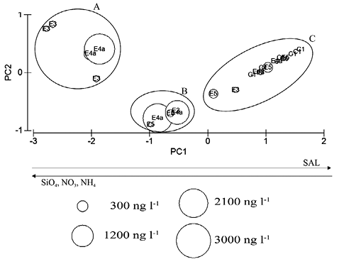 sm3998fig5.jpg