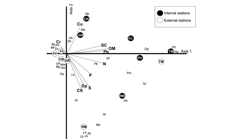 sm4043fig4.jpg