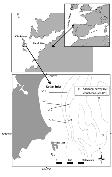 sm4071fig1.jpg