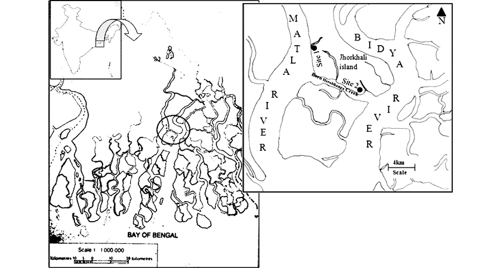 sm3931fig1.jpg
