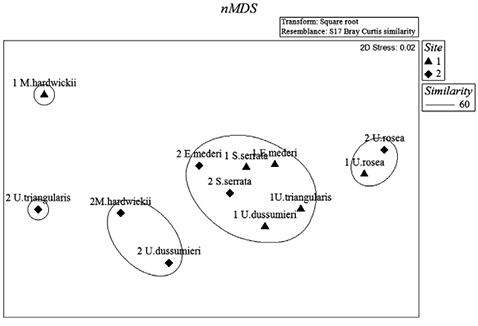 sm3931fig3.jpg