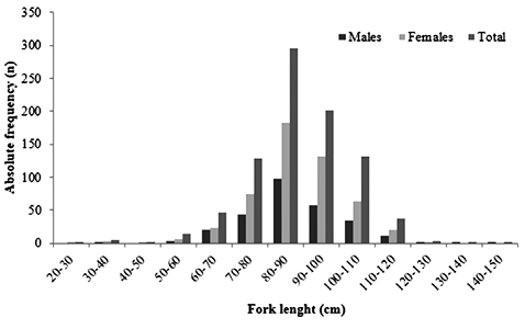 sm4013fig2.jpg