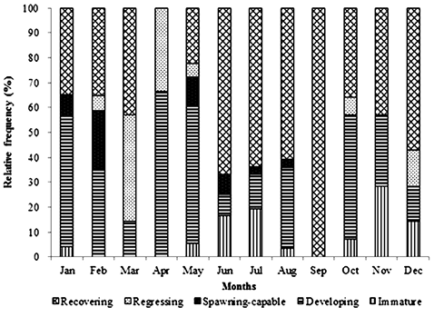 sm4013fig3.jpg