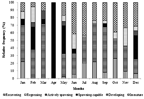 sm4013fig4.jpg