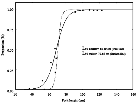 sm4013fig7.jpg