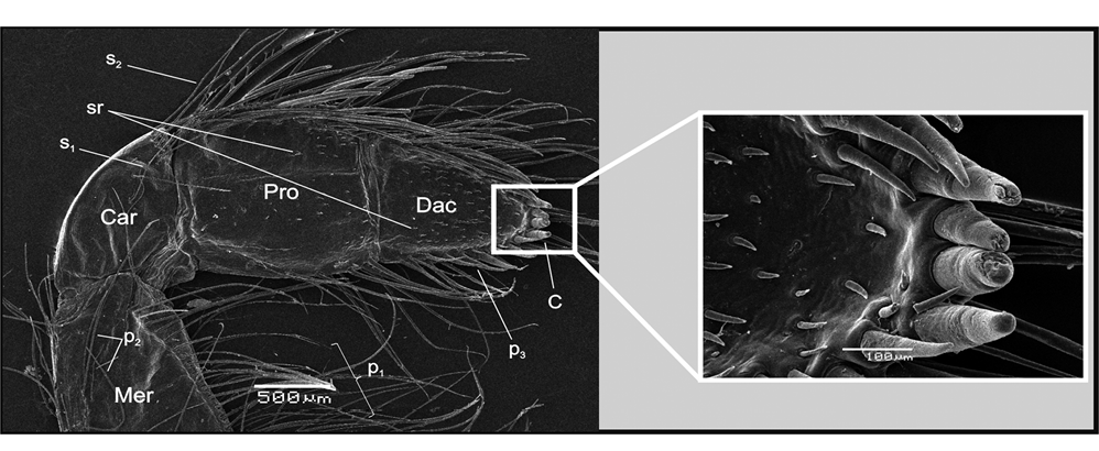 sm4036fig1.jpg
