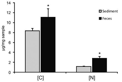 sm4036fig3.jpg