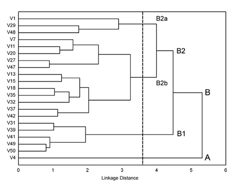 sm4018fig3.jpg