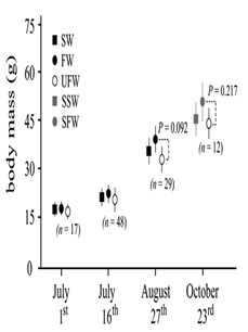 sm3992fig1.jpg