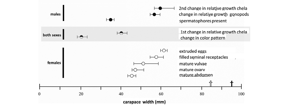 sm4108fig8.jpg