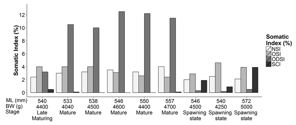 sm4112fig4.jpg