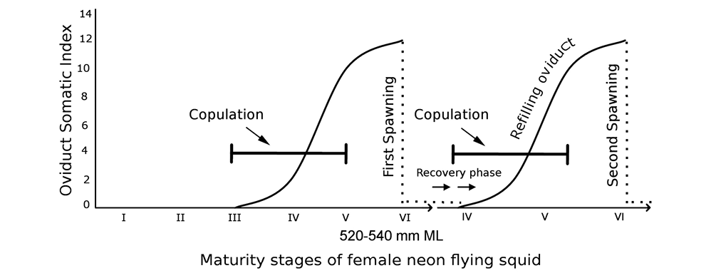 sm4112fig7.jpg