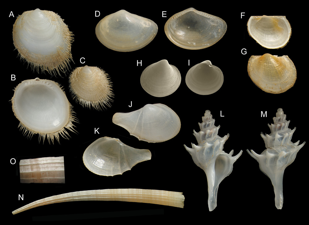 sm4097fig3.jpg