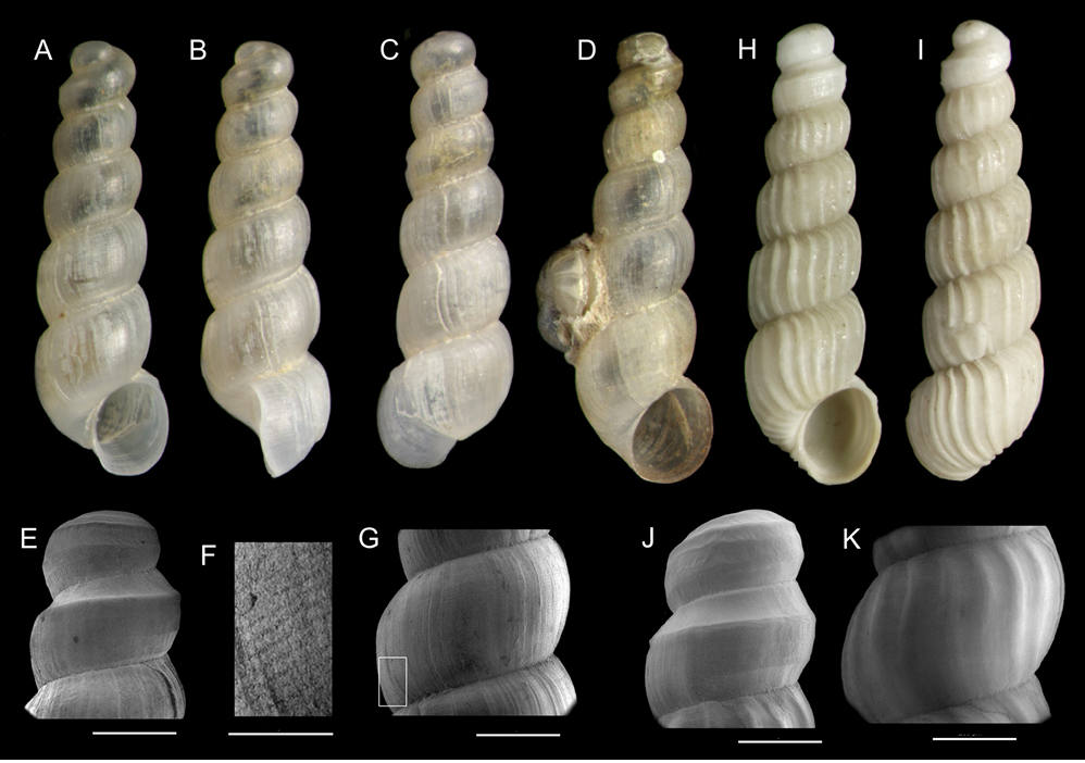 sm4097fig7.jpg