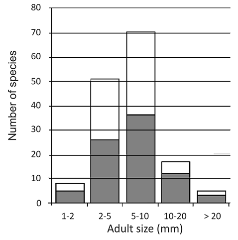 sm4097fig8.jpg