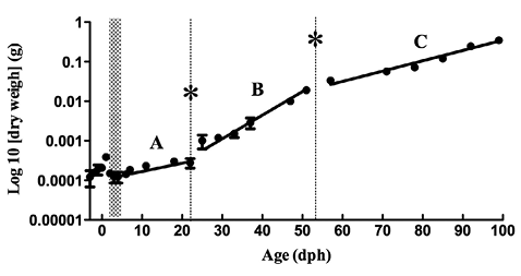 sm4091fig3.jpg