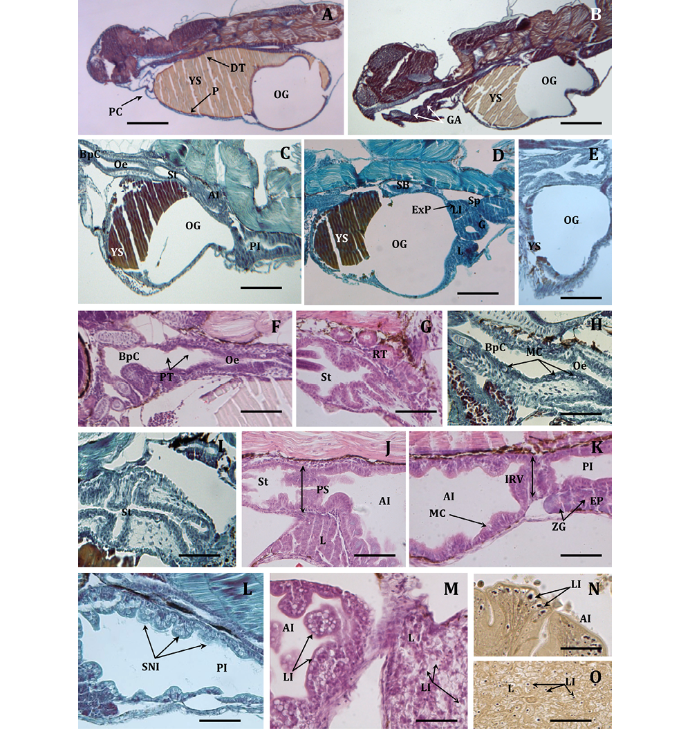 sm4091fig5.jpg