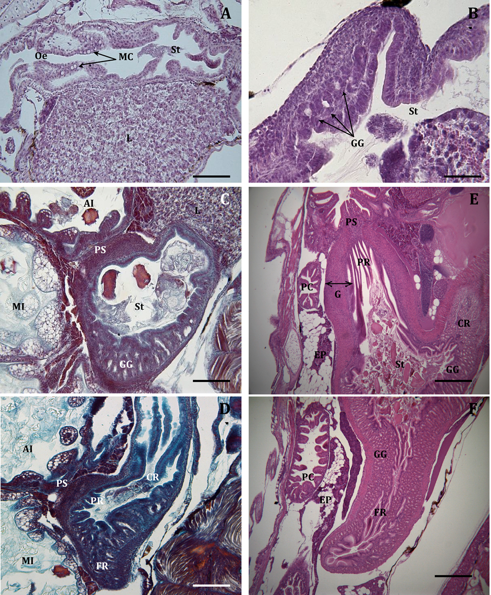 sm4091fig6.jpg
